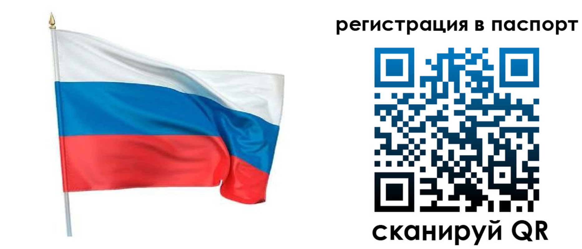 прописка штамп в Коврове